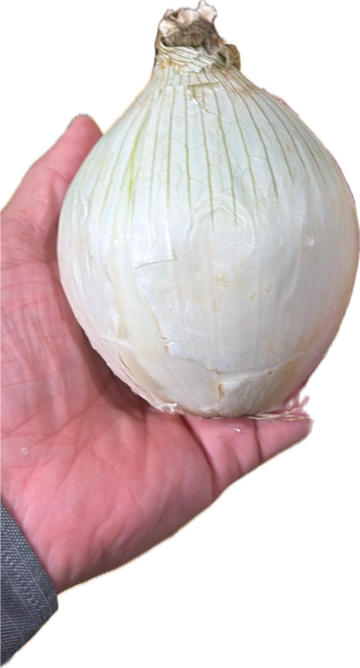 Onion