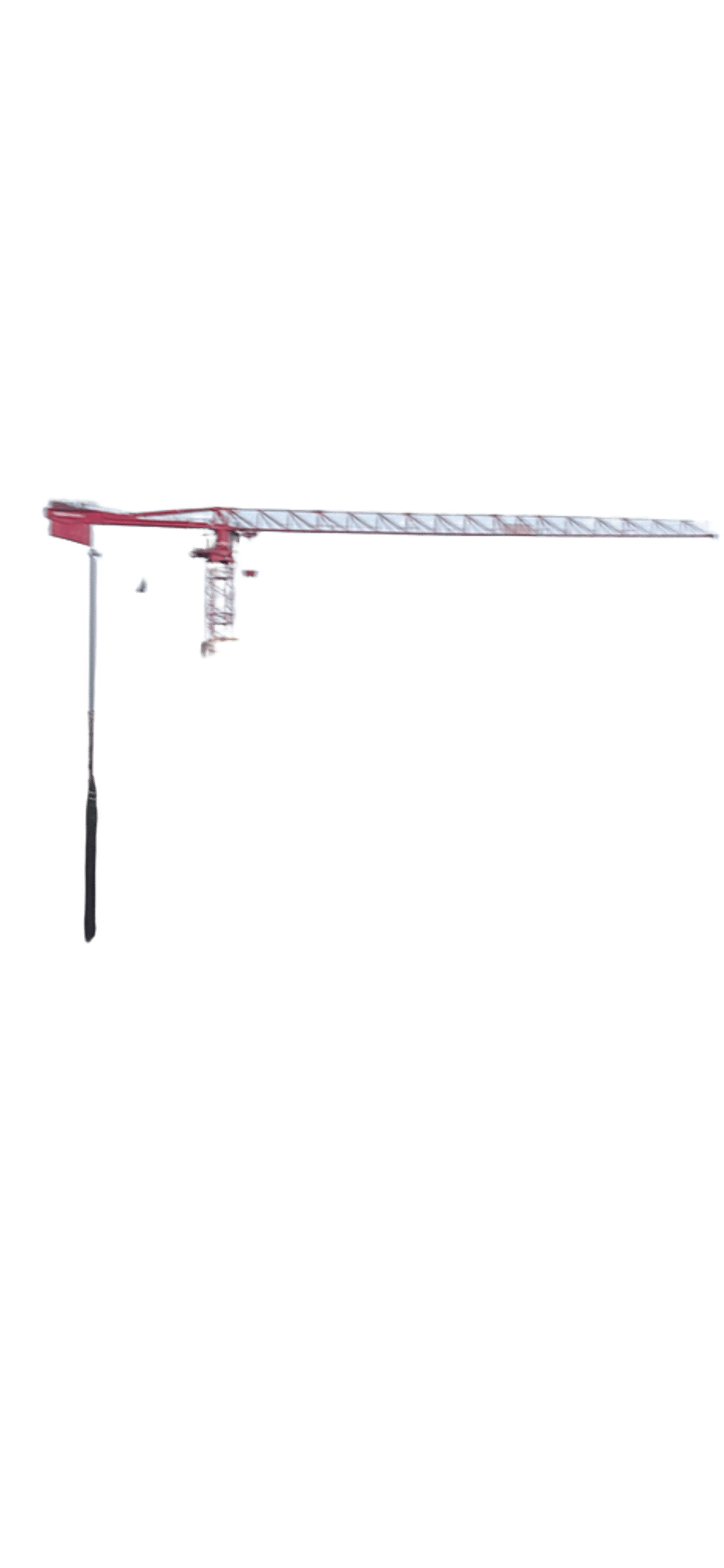 Tower Crane, a recorded specimen