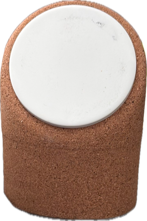 Smart Speaker