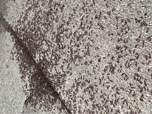 Concrete