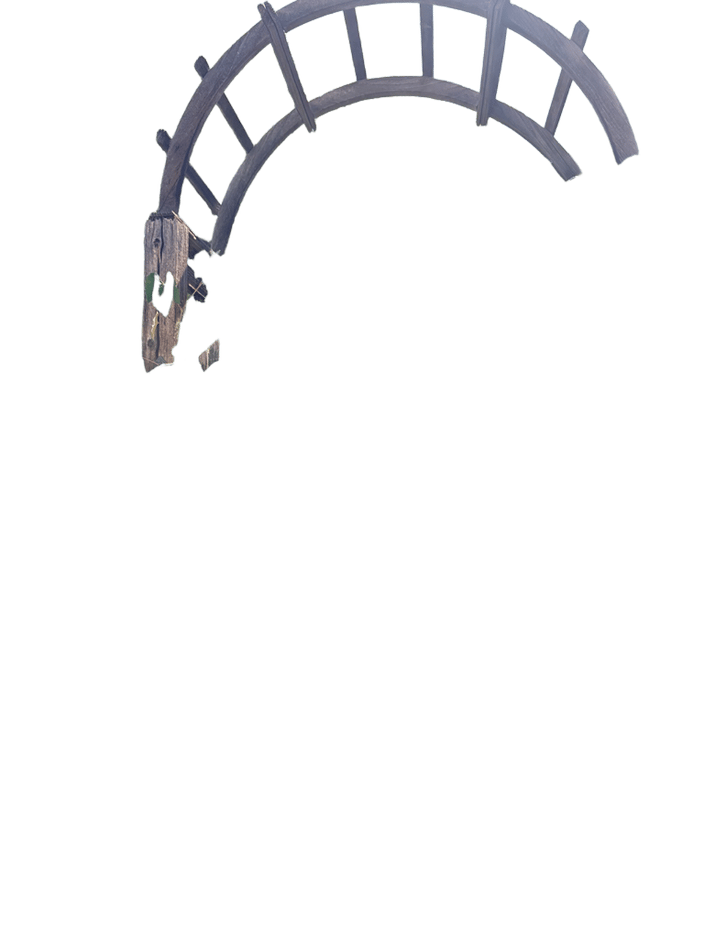 Grapevine, a recorded specimen