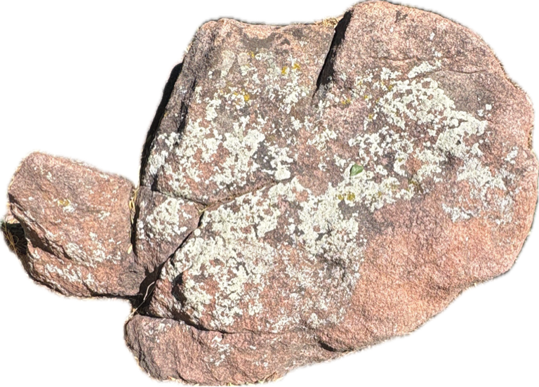 Boulder, a recorded specimen