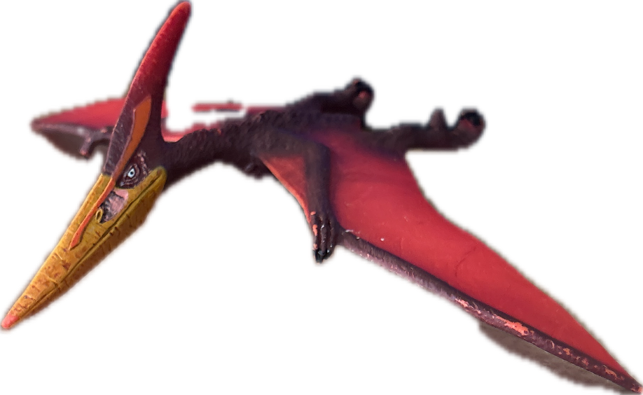 Pteranodon Toy, a captured specimen