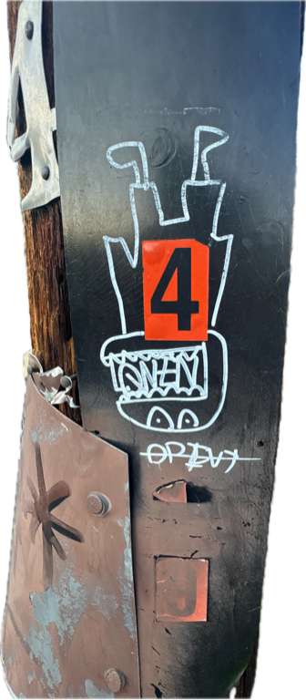 Utility Pole, a recorded specimen