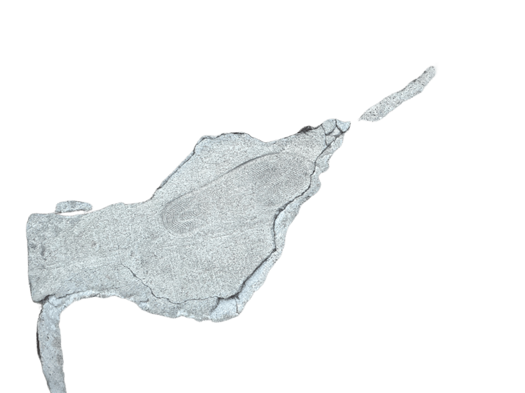 Concrete Crack, a recorded specimen