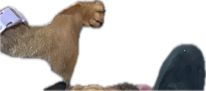 Hay Bale, a recorded specimen
