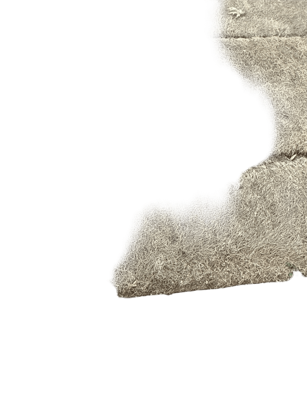 Hay Bale, a recorded specimen