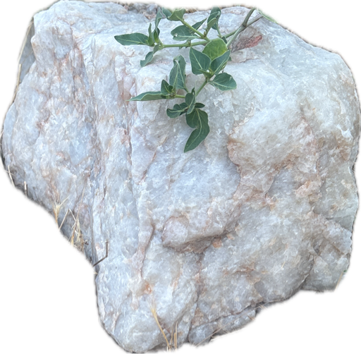 Boulder, a recorded specimen