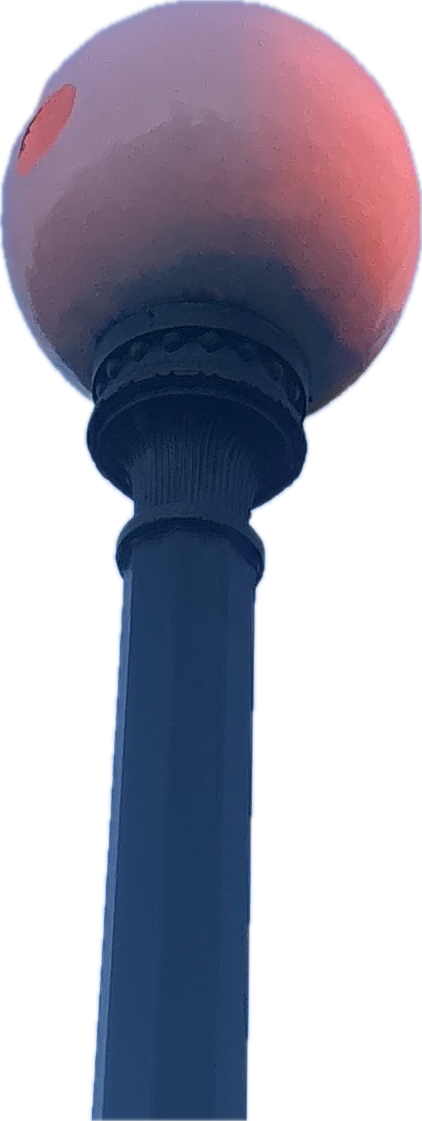 Street Lamp, a recorded specimen