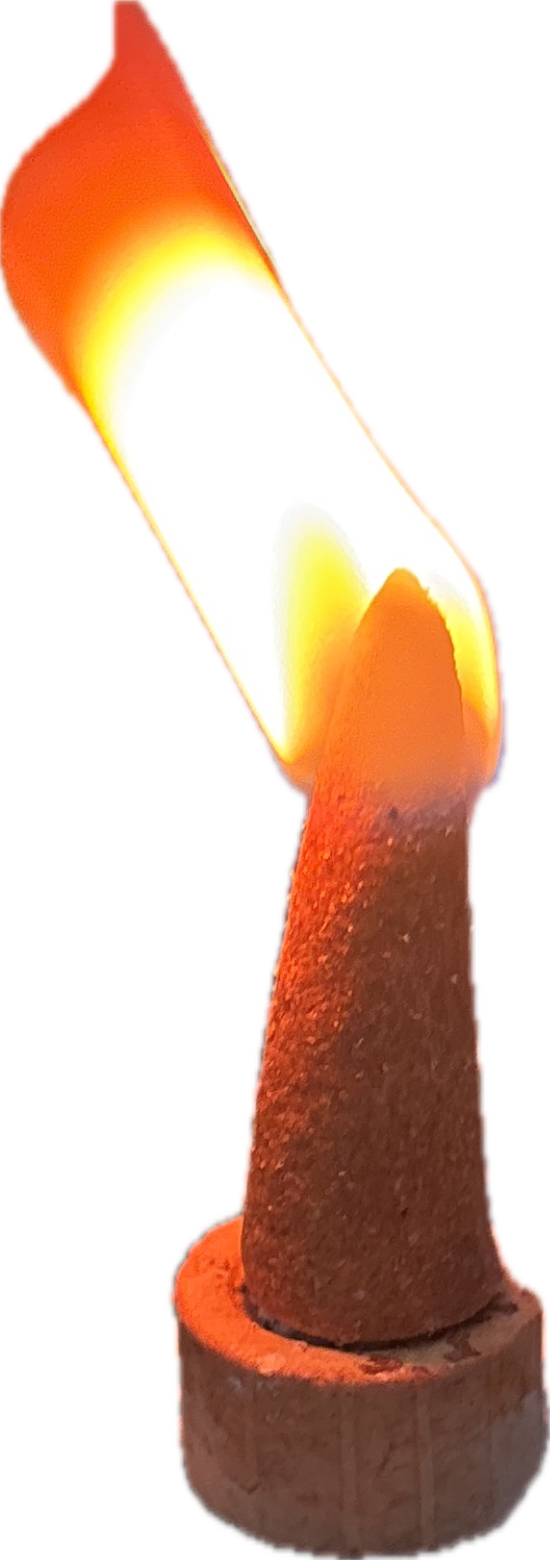 Candle, a recorded specimen