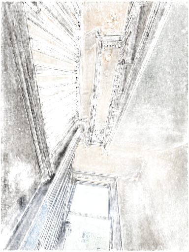 Ceiling Fan, a recorded specimen