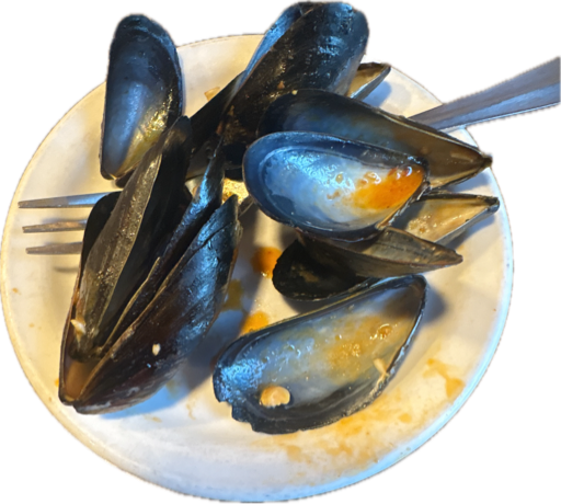 Mussel, a recorded specimen
