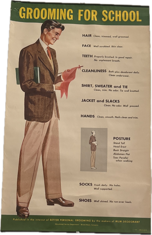 Grooming For School Poster