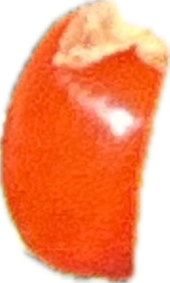 Goji Berry