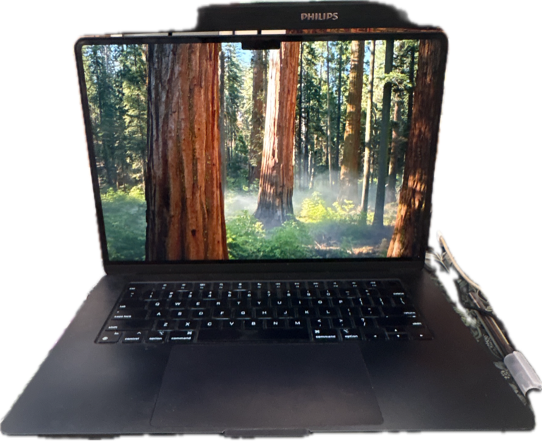 Laptop, a recorded specimen