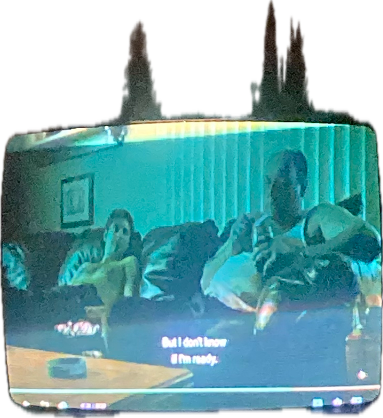 Television