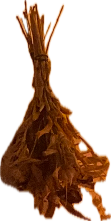 Dried Flower Bunch
