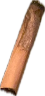 Cigarette Butt