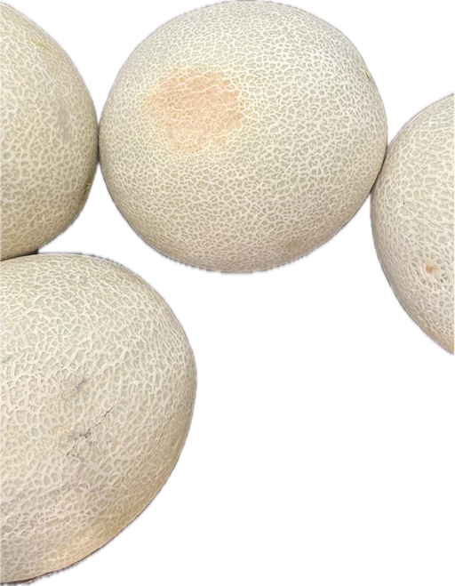 Cantaloupe