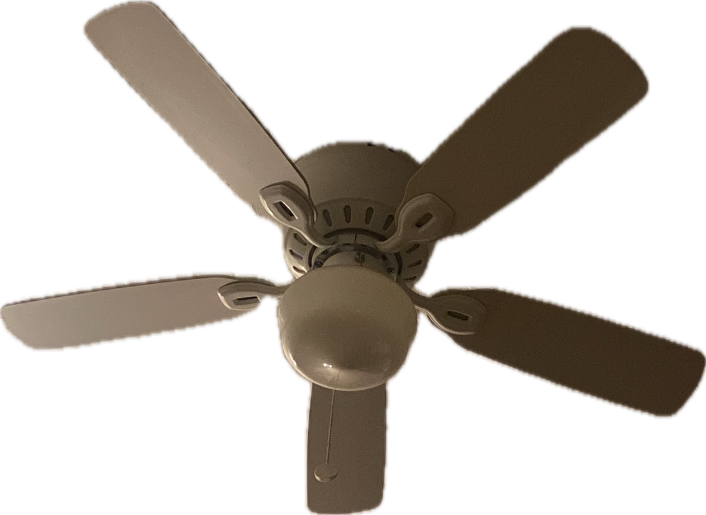 Ceiling Fan, a recorded specimen