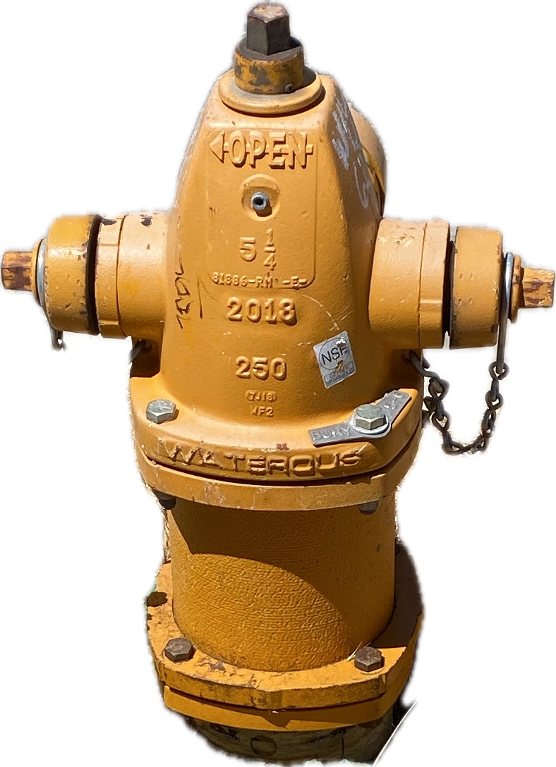 Fire Hydrant, a recorded specimen