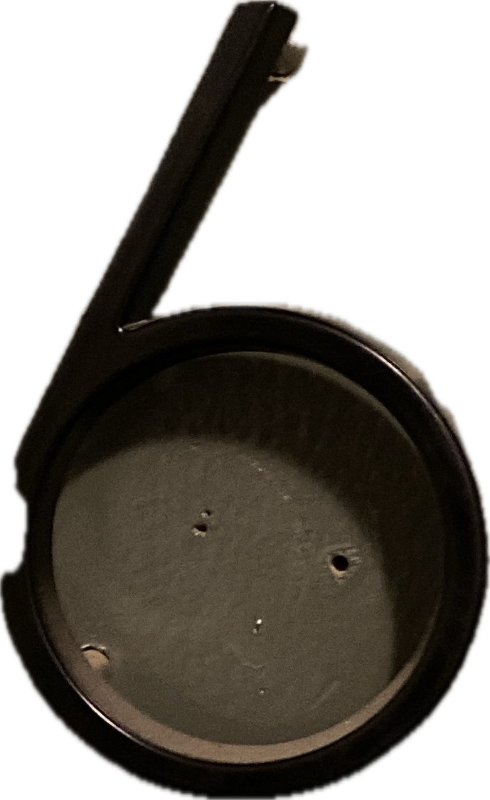 Skillet, a captured specimen