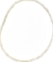 Moon, a recorded specimen