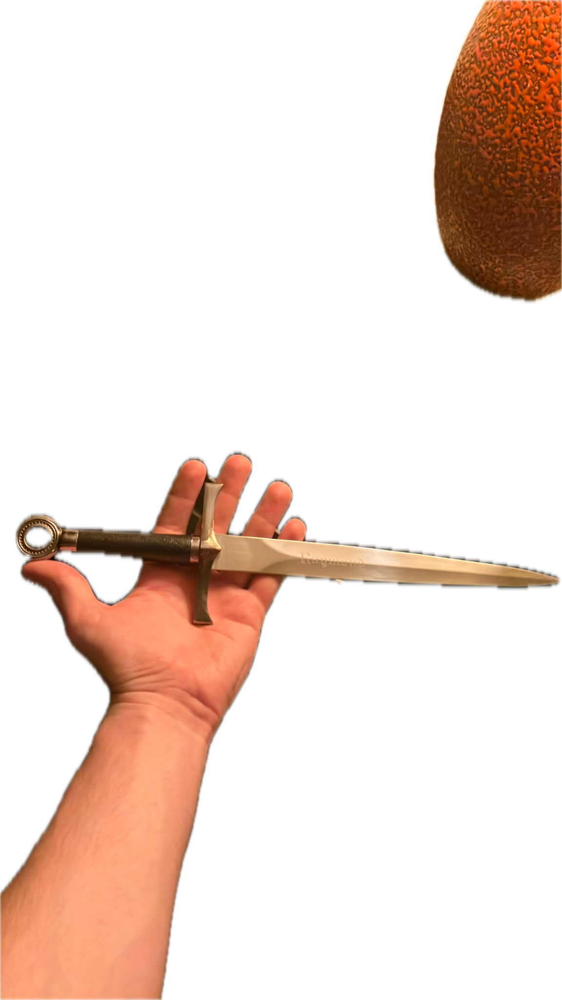 Chef's Knife, a recorded specimen