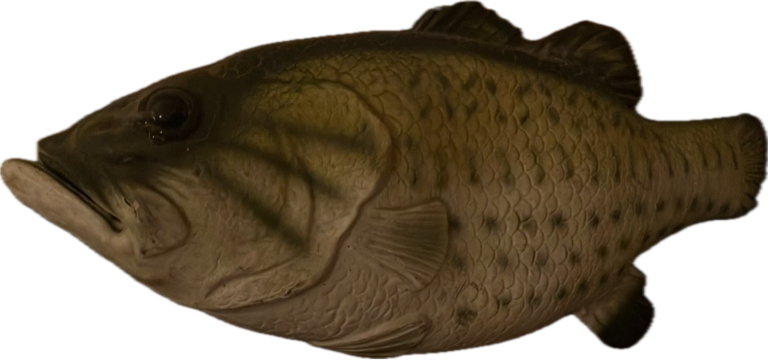 Largemouth Bass