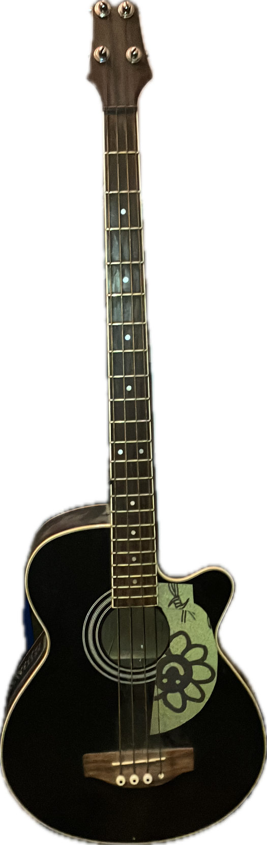 Acoustic Guitar, a recorded specimen