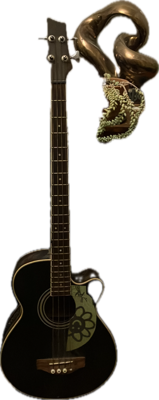 Acoustic Guitar, a recorded specimen