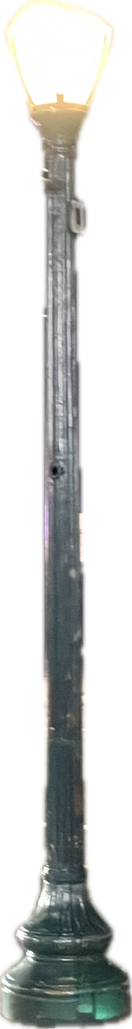 Street Lamp, a recorded specimen
