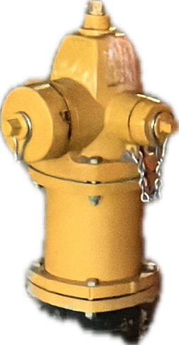Fire Hydrant, a recorded specimen