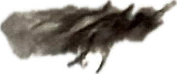 Earwig, a recorded specimen