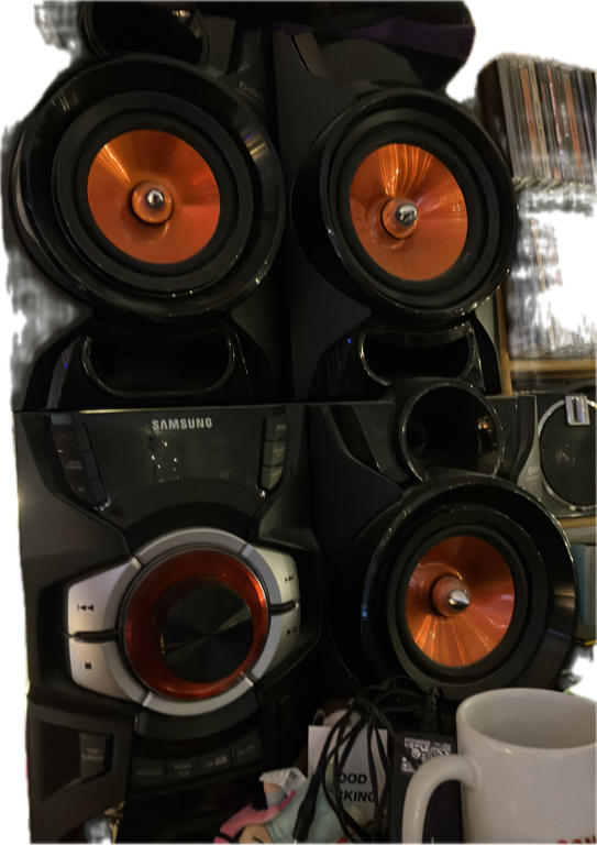 Speaker System