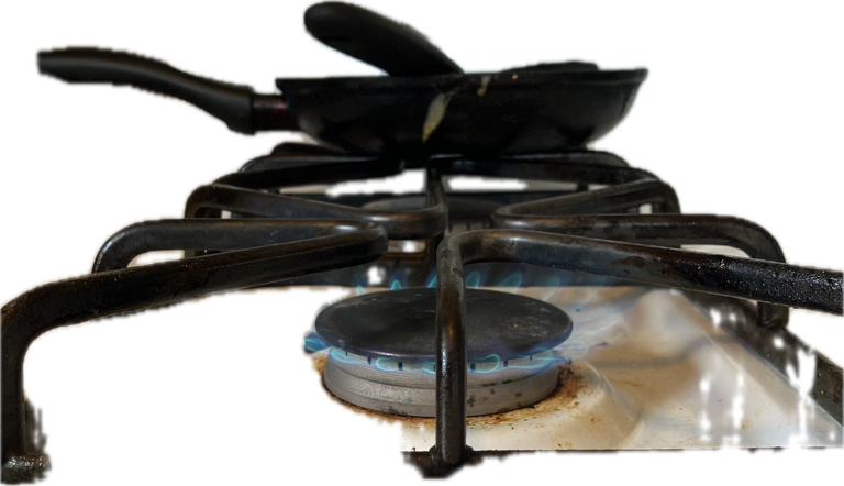 Gas Stove Burner, a recorded specimen
