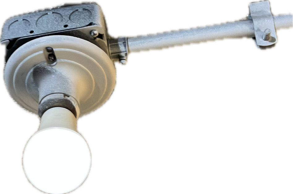 Ceiling Light Fixture, a recorded specimen