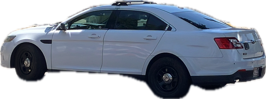 Police Interceptor Sedan, a captured specimen