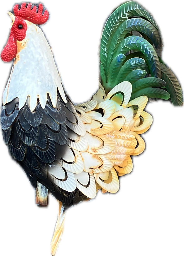 Rooster Weathervane, a captured specimen