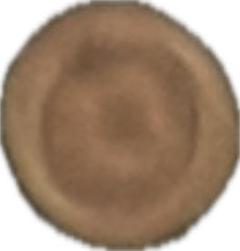 Moon, a recorded specimen
