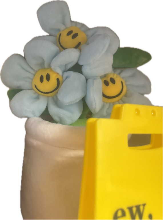 Smiley-Face Flower Plush, a recorded specimen