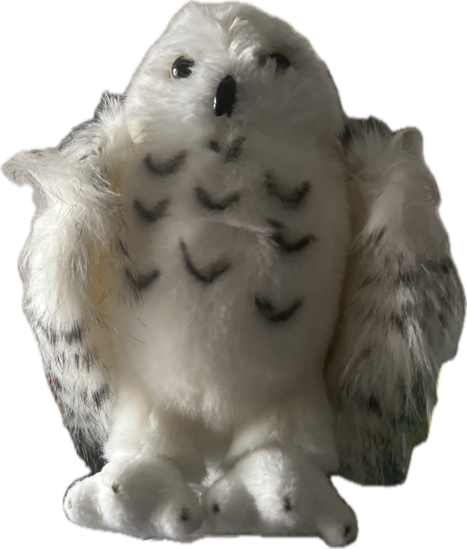 Snowy Owl Figurine, a captured specimen