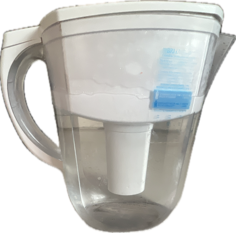Water Filter Pitcher, a captured specimen