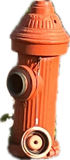 Fire Hydrant, a recorded specimen