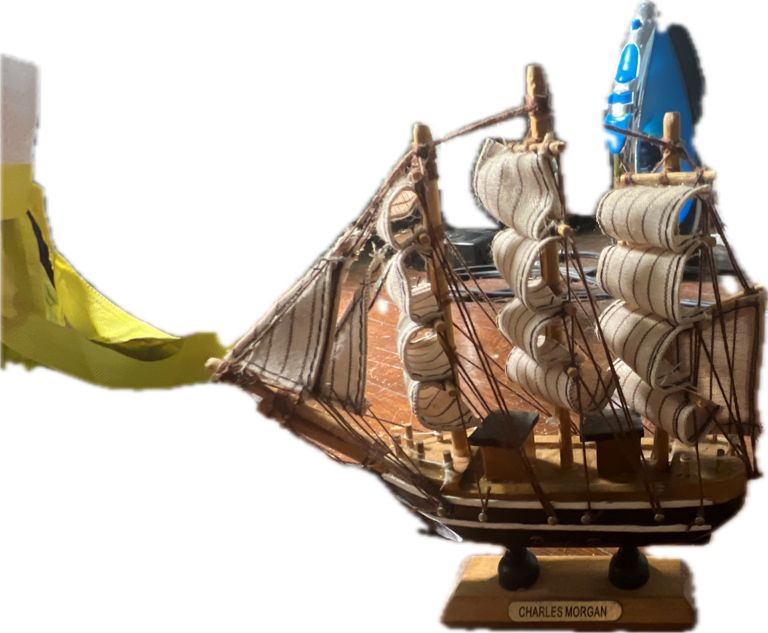 Model Ship, a captured specimen