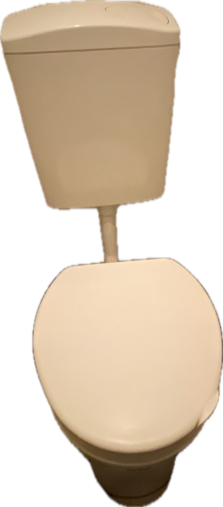 Toilet, a recorded specimen