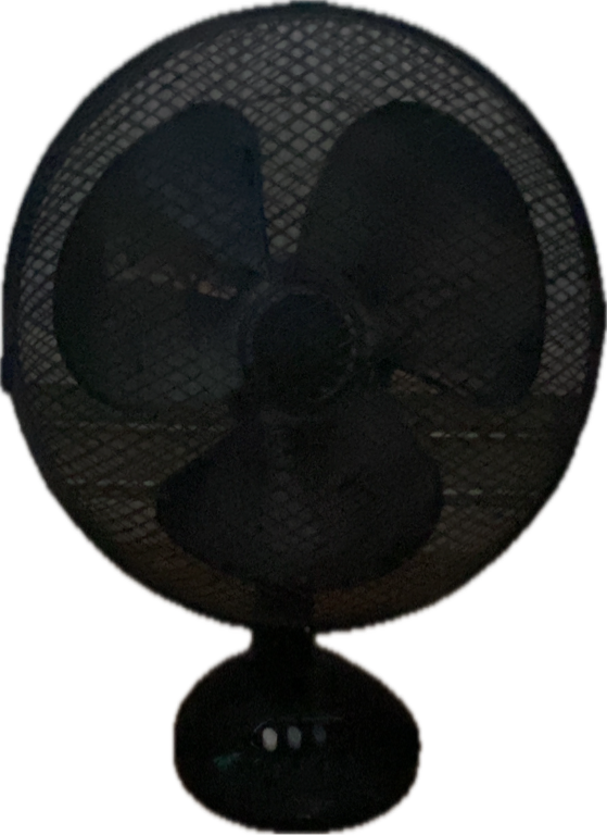 Desk Fan, a captured specimen