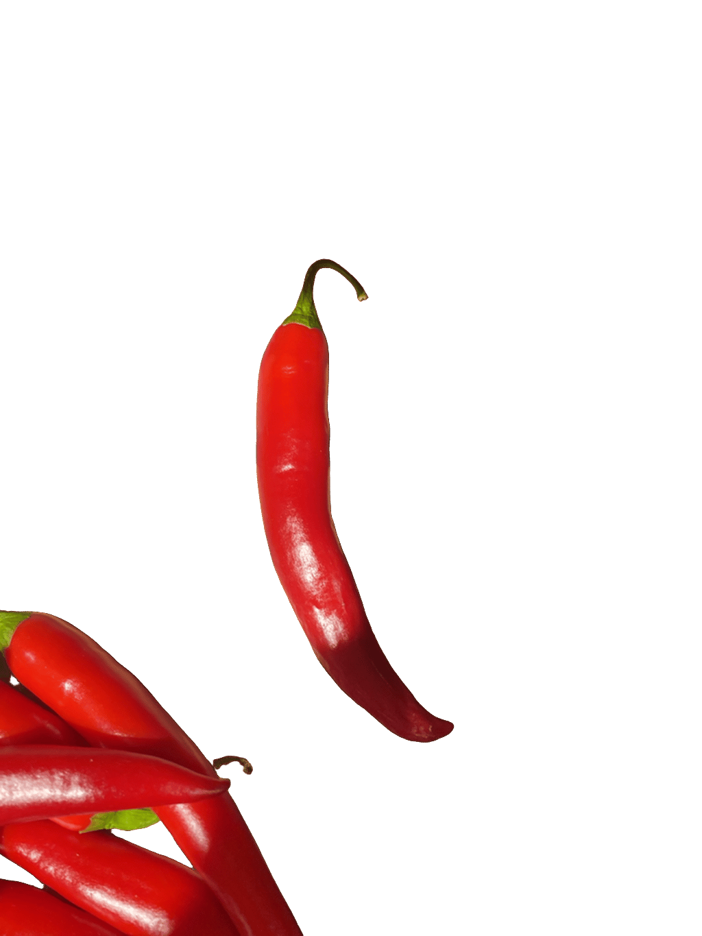 Red Chili Pepper, a captured specimen