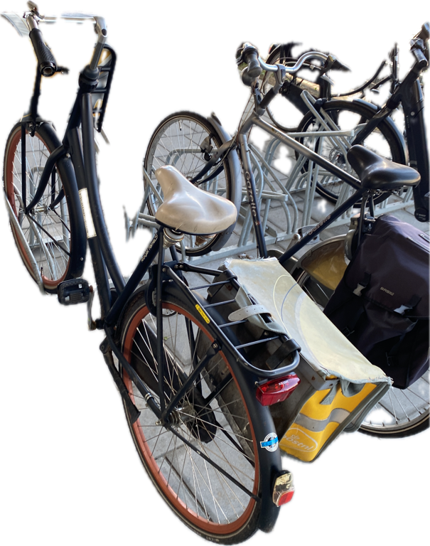 Bike-Share Bicycle, a captured specimen