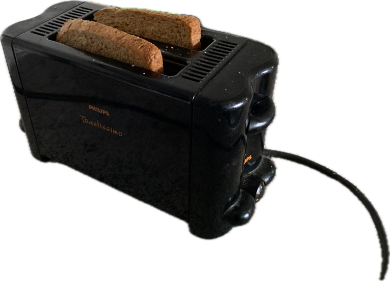 Toaster, a captured specimen